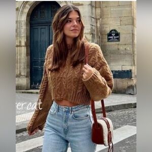 Zara Tan Cable Knit Turtleneck Sweater